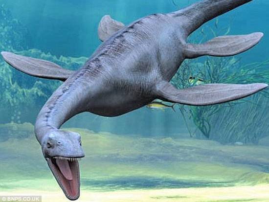 Lariosaurus: 3 things to know about the Lake Como monster!