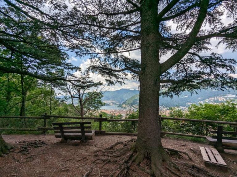 Spina Verde Park: hiking in the woods around Como